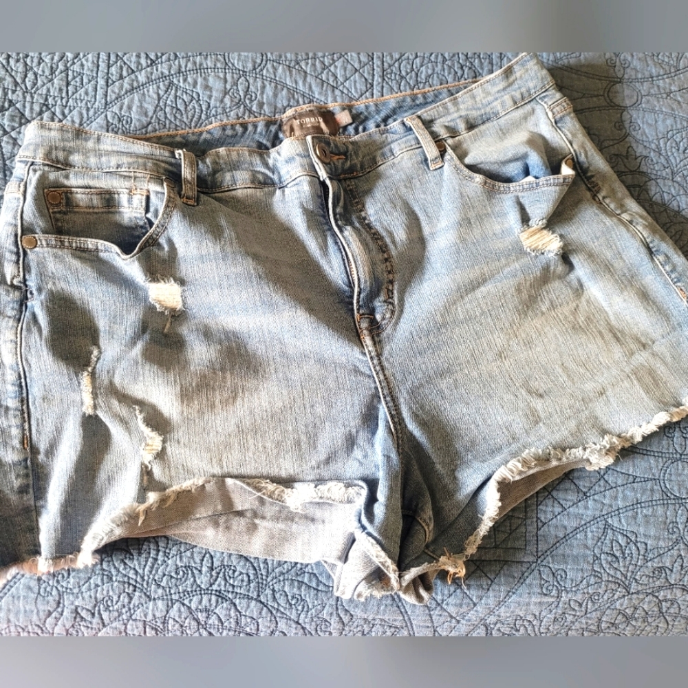 Torrid Denim Shorts 16